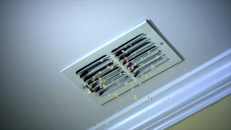 Best HVAC Air Duct Cleaning  in Central City, IL