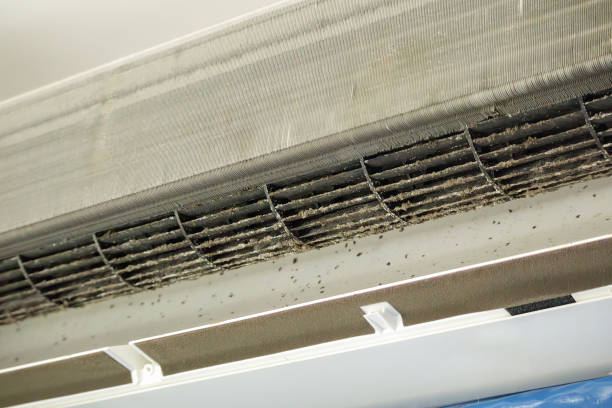 Air Duct Mold Removal in Central City, IL